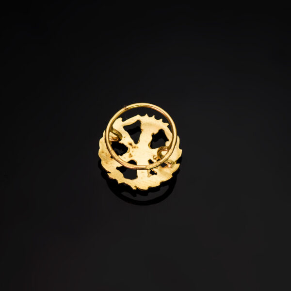 18K INSIGNIA ORO AMARILLO INGENIERO AERONAUTICO ( AEROESPACIAL )  15 X 15 MM - Imagen 3